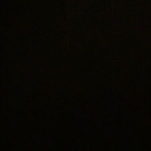 Meet your Posher, Ronnie